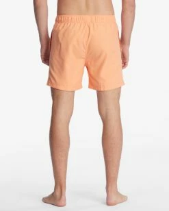 Outlet 💯 Billabong All Day Layback Boardshorts 16" COASTAL 🔥 25 Outlet 💯 Billabong All Day Layback Boardshorts 16" COASTAL 🔥 -mens-boardshorts shop abybs00153 billabongw mel bck1 1