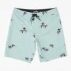 Budget 🤩 Billabong Sundays Pro Boardshorts 19" MIST ⭐