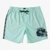 Wholesale 😀 Billabong Kamea Hawaii Layback Boardshorts 16" MINT 🔔 -mens-boardshorts shop abybs00324 billabongf mnt frt1